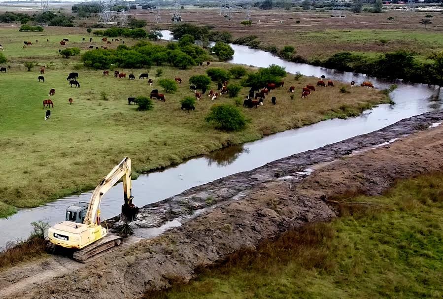 Campana: El Municipio inició un plan integral de limpieza de arroyos para evitar anegamientos