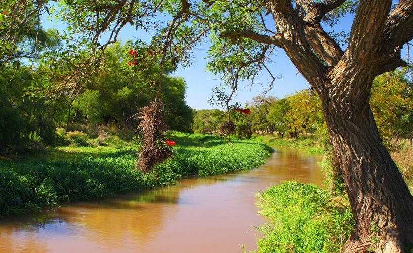 Blanca Osuna: “El proyecto de ampliación del Parque Nacional Pre-Delta es una apuesta al cuidado de los humedales”