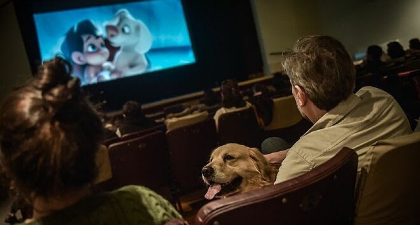 Escobar: El Cine Italia batió en 2022 un récord de entradas convocando a más de 60 mil espectadores 