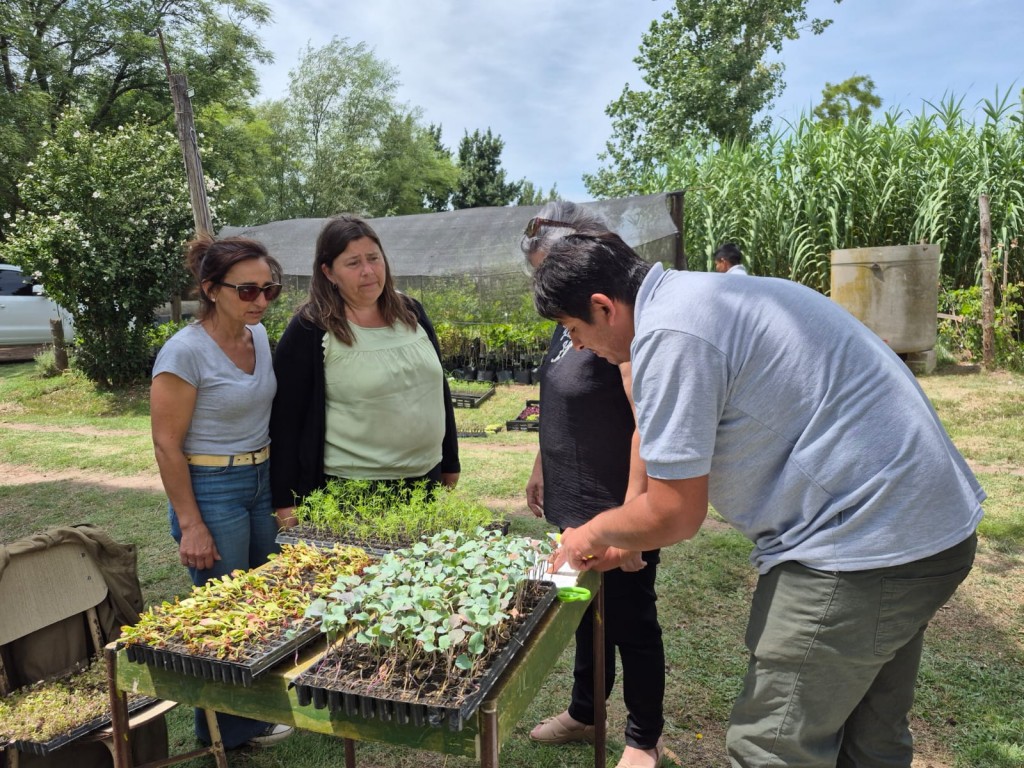 Gral. Villegas: La Municipalidad recibió plantines para huertas educativas y comunitarias