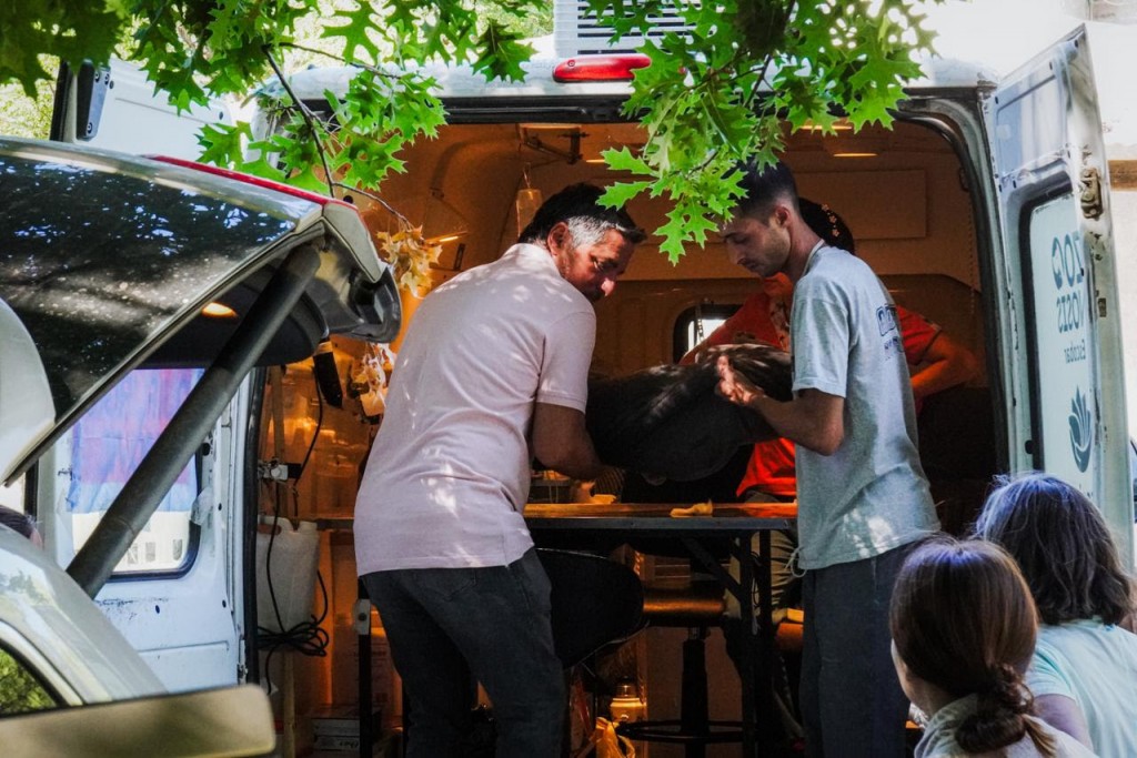 Escobar: La Municipalidad realiza 33 operativos de zoonosis gratuitos por mes