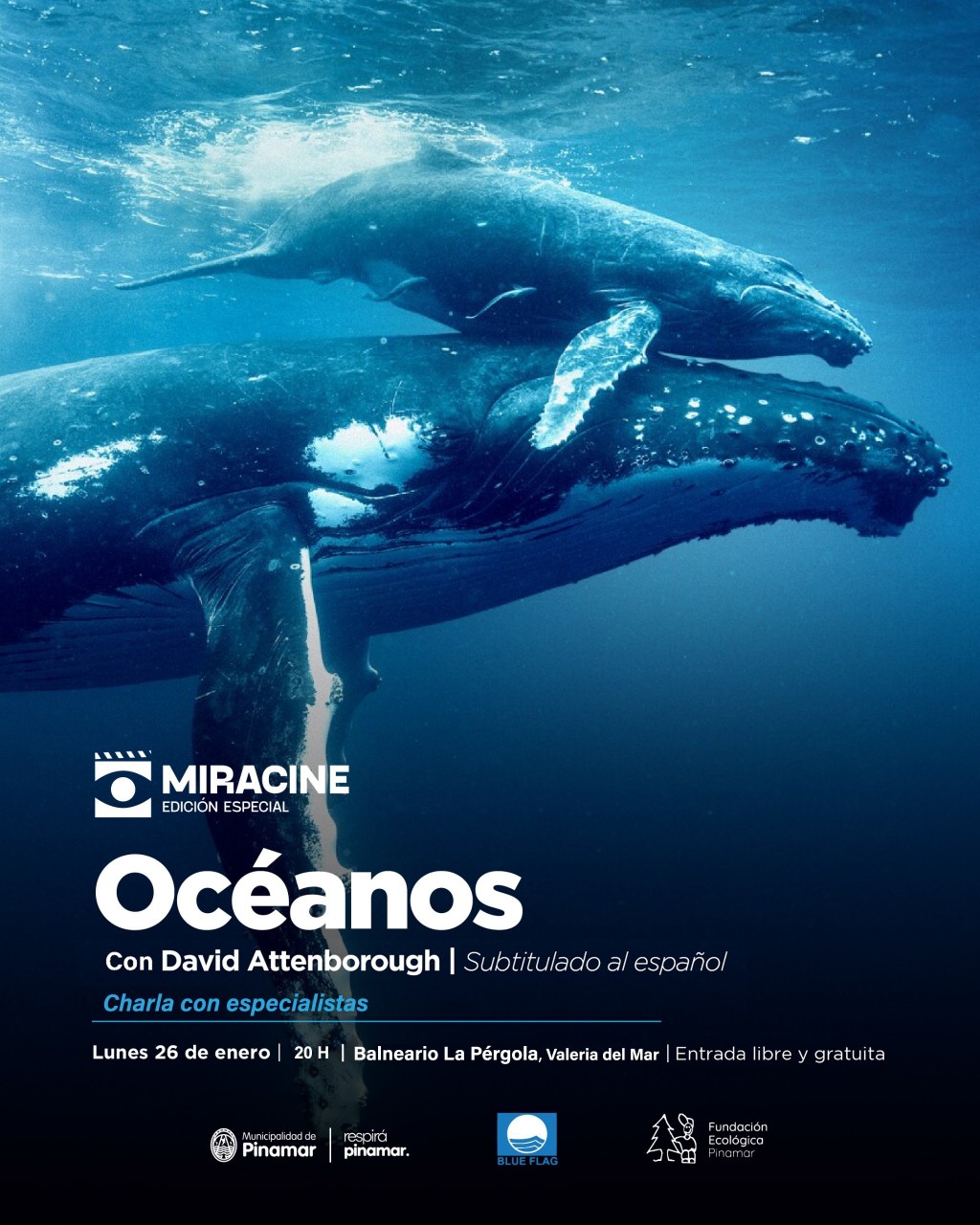 Pinamar: MIRACINE recibe a BLUE FLAG Argentina con una proyección especial