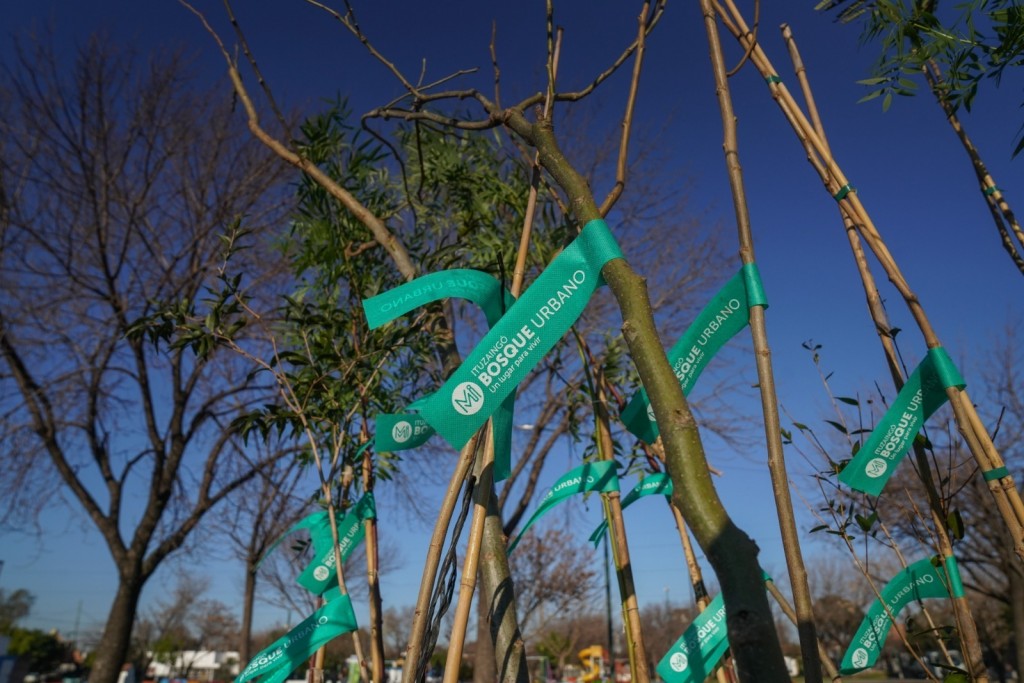 Ituzaingó: El Municipio recibió un reconocimiento por su compromiso con el arbolado urbano  