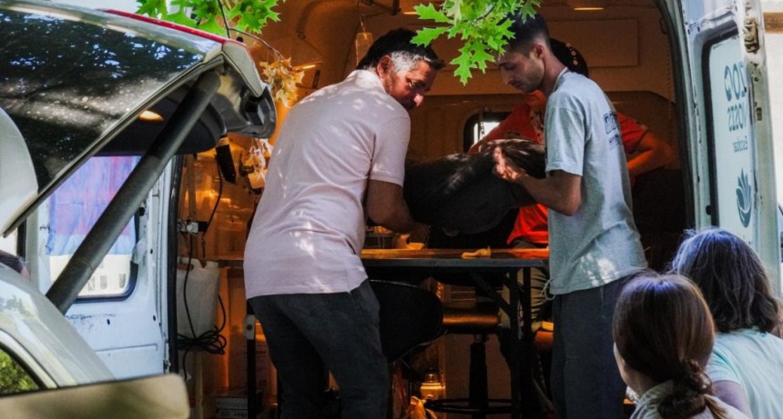 Escobar: La Municipalidad realiza 33 operativos de zoonosis gratuitos por mes