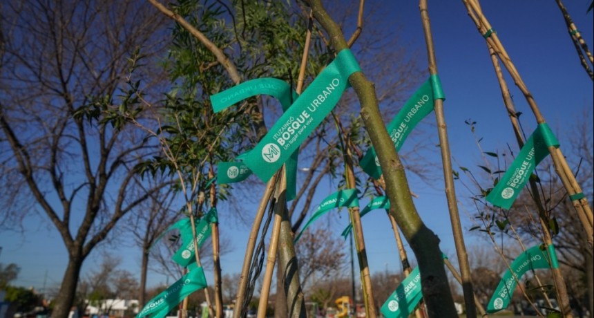 Ituzaingó: El Municipio recibió un reconocimiento por su compromiso con el arbolado urbano  