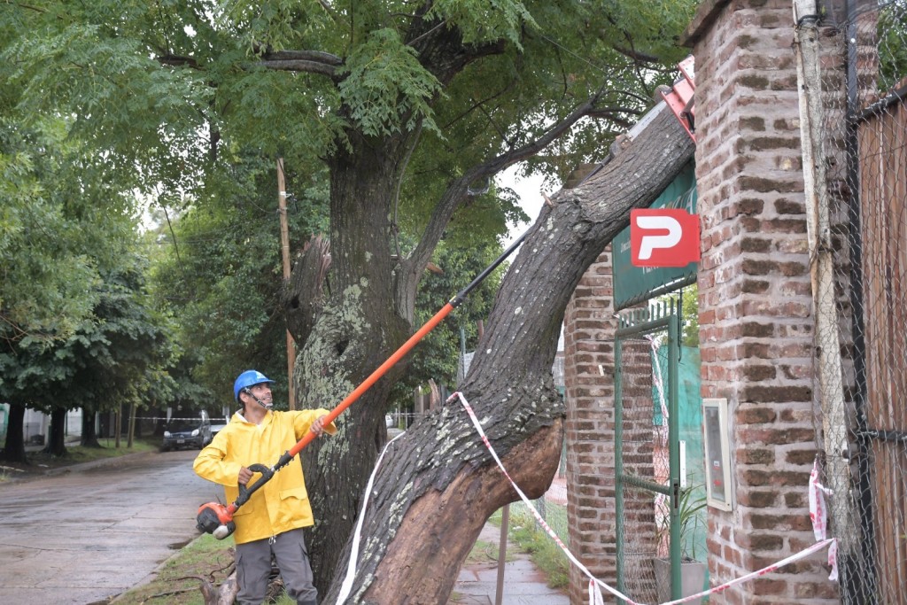 Morón: La Municipalidad desplegó un operativo de rápida respuesta tras el fuerte temporal