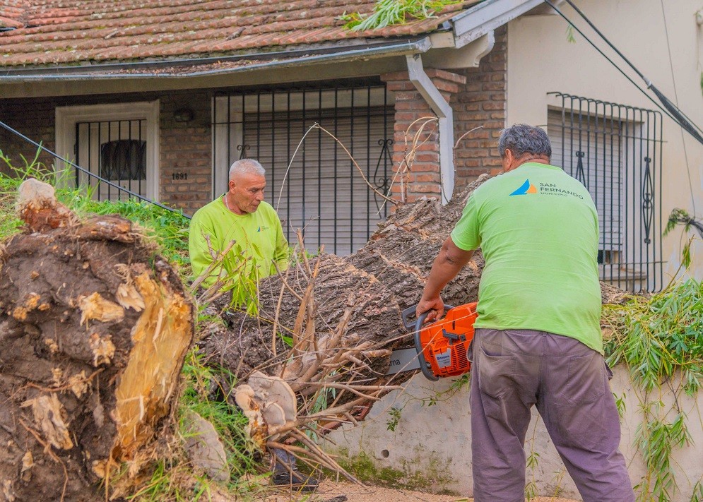 San Fernando: La Municipalidad reacondiciona la ciudad tras el temporal de vientos de 100 km/h