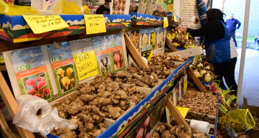 Escobar: El Mercado de Productos Familiares vuelve al distrito