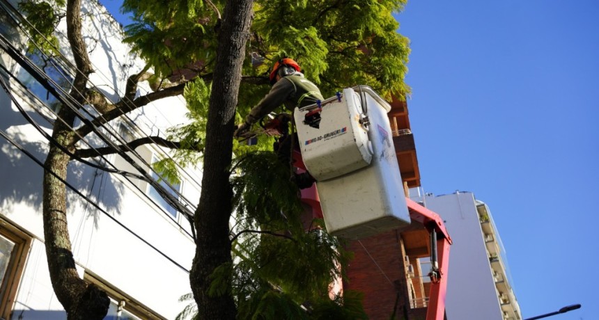 Vicente L&oacute;pez: Contin&uacute;a abierta la inscripci&oacute;n al Plan de Poda 2026