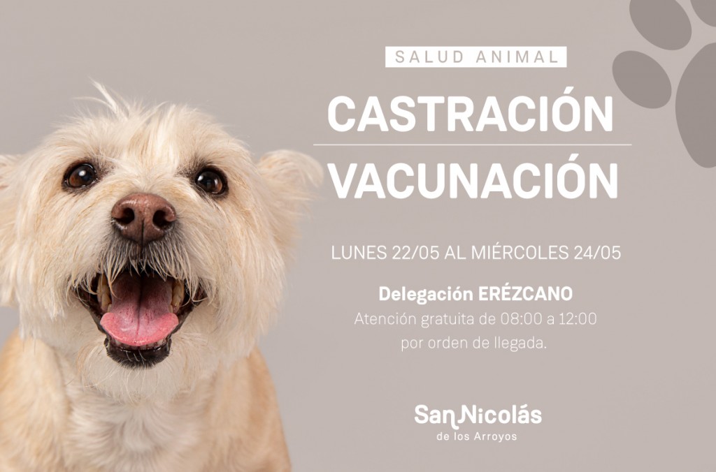 San Nicolás: Castración y vacunación de la Delegación de Erézcano 