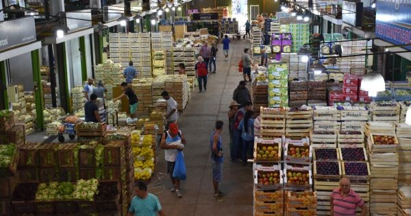 Ornella Calvete Nacht: “Las medidas del gobierno en el mercado de alimentos generan incertidumbre y afectan a sectores vulnerables”