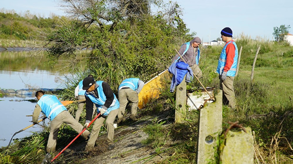 Tigre: El Municipio y Provincia realizaron un operativo de limpieza en el arroyo El Claro