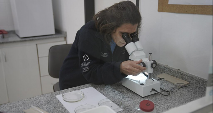 ACUMAR y la UBA continúan trabajando juntos para prevenir enfermedades transmitidas por mosquitos