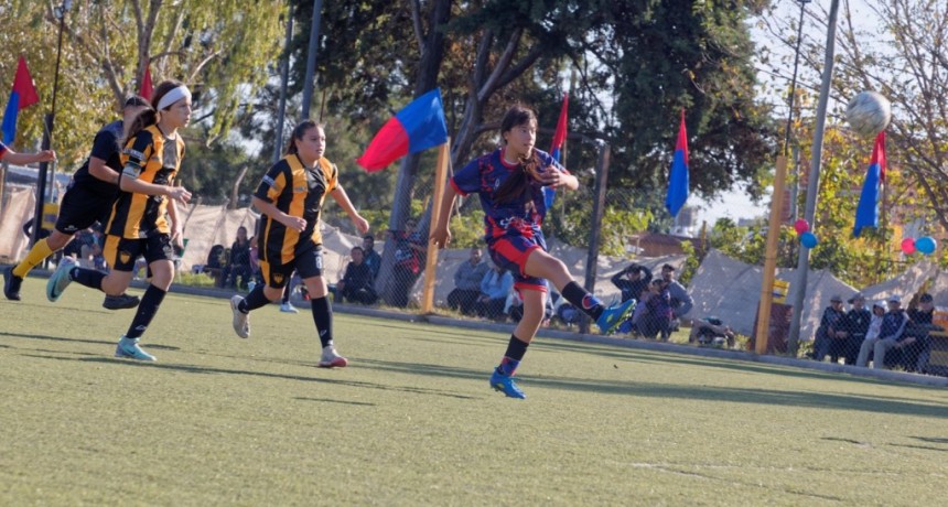 Berazategui: Comenzó el Torneo Municipal Evita Capitana