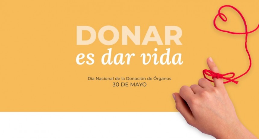 Misiones: La Provincia mantiene indicadores altos en donación de órganos y apunta a sumar nuevas tecnologías 