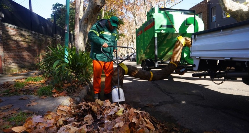 Vicente L&oacute;pez: La Municipalidad refuerza el Plan de Oto&ntilde;o para mantener limpias y ordenadas las calles