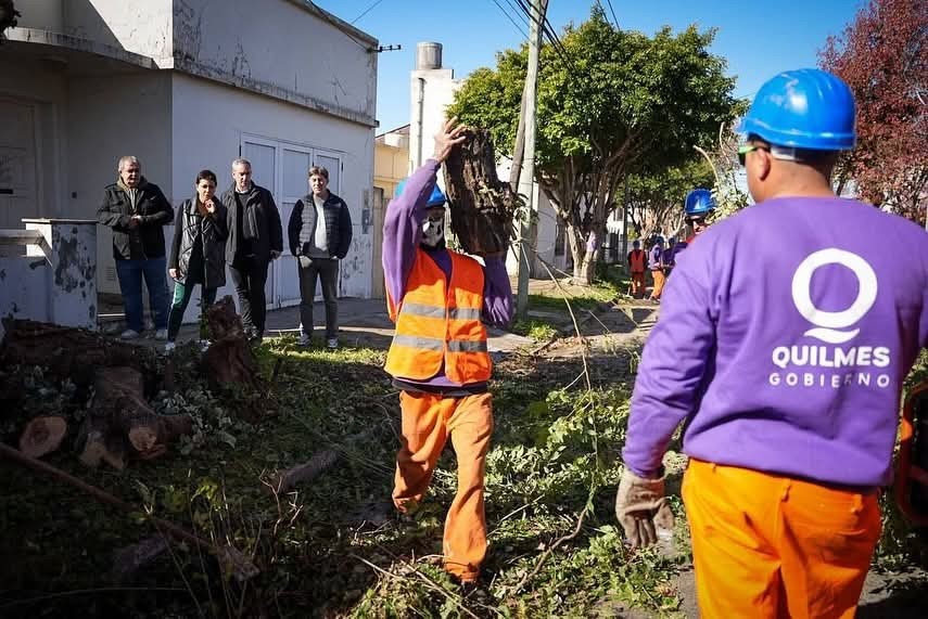 Quilmes: Mendoza supervisó un nuevo operativo de poda correctiva
