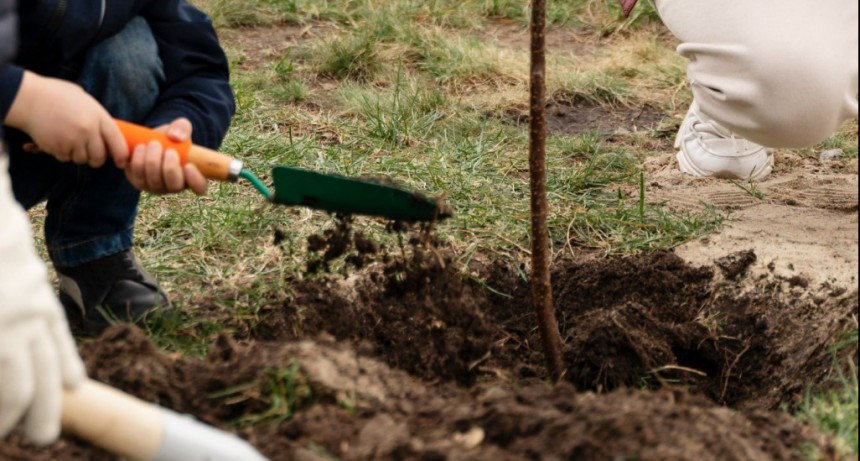 Azul: El Municipio celebrará el Día Mundial del Árbol