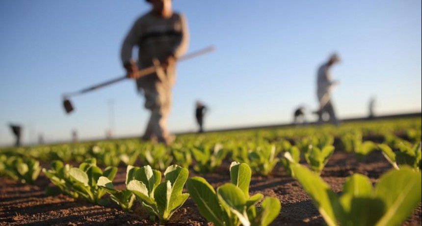 Se realizará el 3° Congreso de Cooperativas Agropecuarias y Agroalimentarias de la PBA 