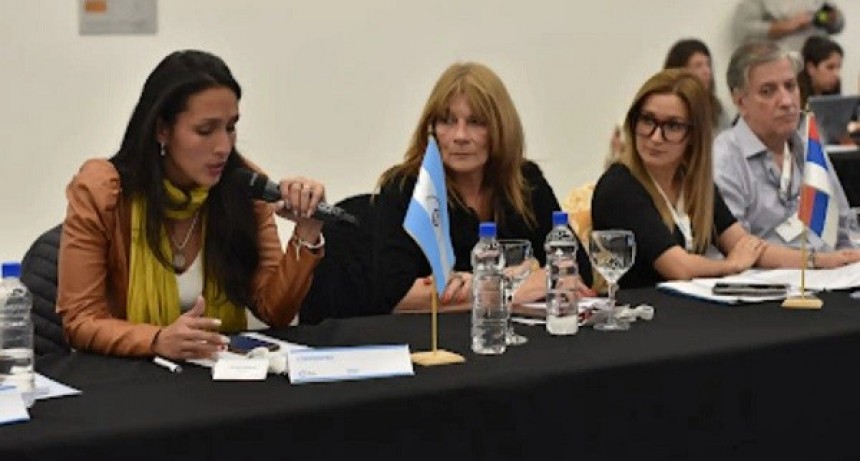 Corrientes: El COPRODIS participó del Consejo Federal de Discapacidad