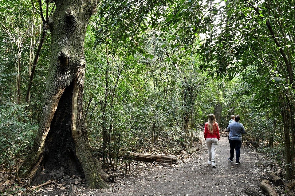 Morón: La ciudad celebró los 13 años de la Reserva Natural Urbana de Castelar