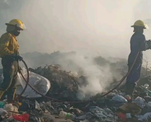 Colón (ER): Denuncian penalmente al intendente Walser por Desastre Ambiental