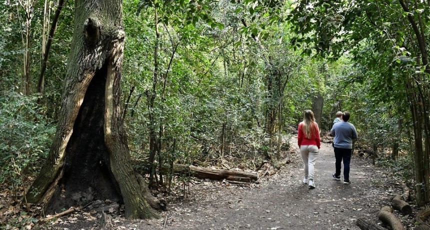 Morón: La ciudad celebró los 13 años de la Reserva Natural Urbana de Castelar