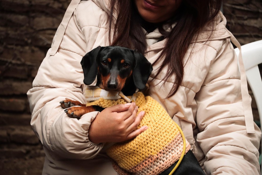 Mor&oacute;n: La Municipalidad brinda servicios veterinarios gratuitos para vecinos y vecinas