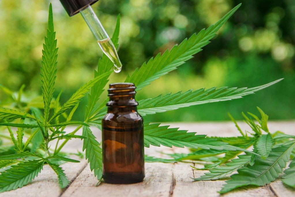 Aníbal Duarte: “Los laboratorios públicos son fundamentales para transformar el cannabis en una medicina alternativa y accesible para la población” 