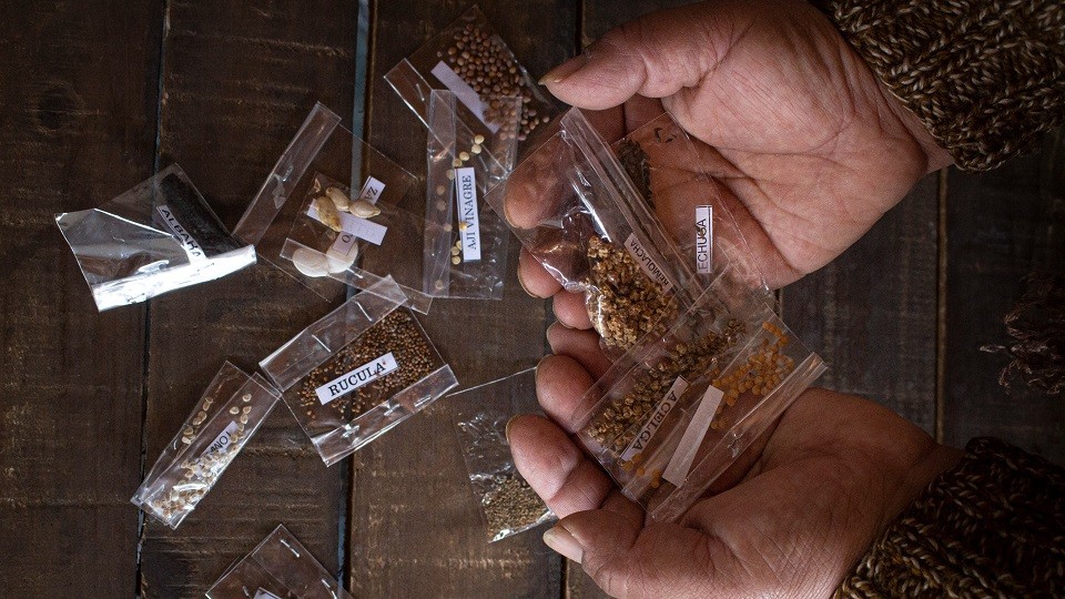 Moreno: Se entregan Kits de semillas agroecológicas para huertas