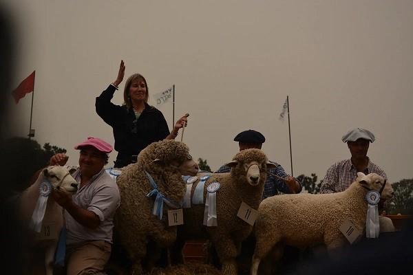 Corrientes: El Gobierno Provincial lanza el plan de mejoramiento de genética ovina