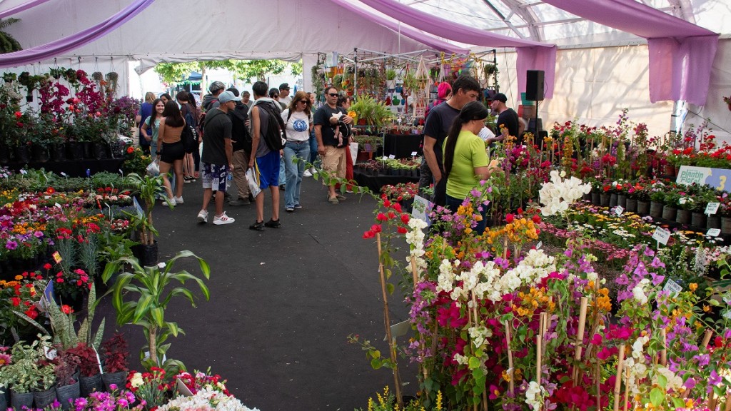 Moreno: El Municipio celebra la primavera con tres grandes eventos culturales en la Plaza Dr. Buján