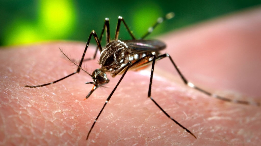 Mor&oacute;n: La Municipalidad refuerza la campa&ntilde;a de prevenci&oacute;n contra el dengue