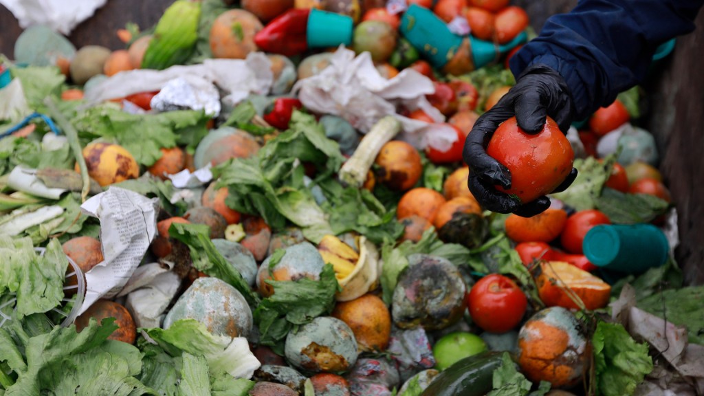 El Colegio de Nutricionistas bonaerense alerta sobre las causas y brinda pautas para frenar el desperdicio de alimentos