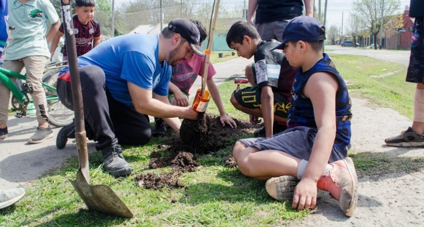 Luj&aacute;n: La Municipalidad forest&oacute; con &aacute;rboles nativos la Plaza &ldquo;Mi querido Wembley&rdquo; de Villa del Parque