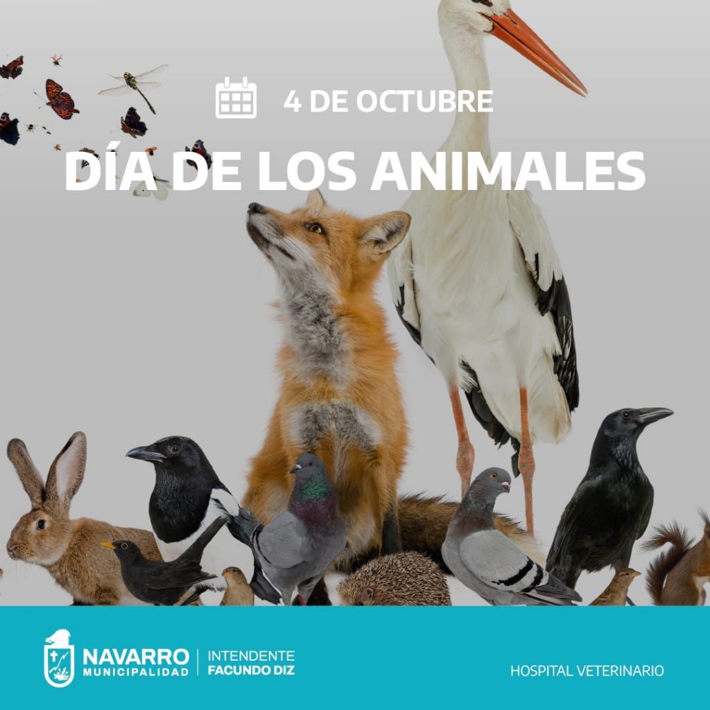 Navarro: El Municipio conmemoró el Día Mundial de los Animales