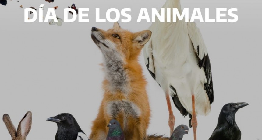 Navarro: El Municipio conmemoró el Día Mundial de los Animales