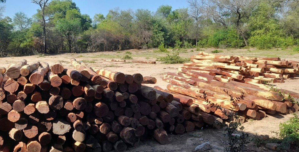 Chaco: La Provincia secuestró 350 postes de quebracho colorado 