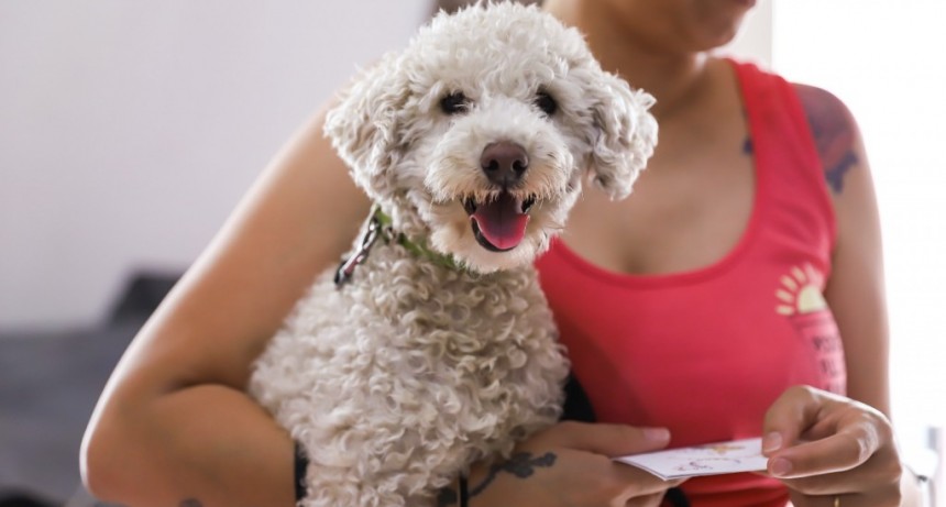 Vicente López: El Municipio fomenta el bienestar animal con nuevas jornadas de Zoonosis