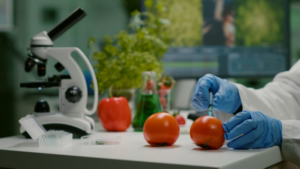 Innovar hoy para nutrir ma&ntilde;ana: ciencia y educaci&oacute;n p&uacute;blica para garantizar una alimentaci&oacute;n saludable y nutritiva