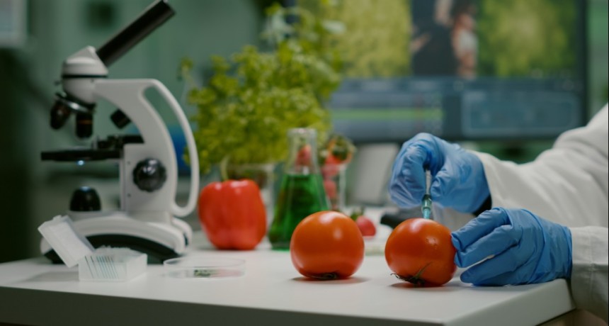Innovar hoy para nutrir ma&ntilde;ana: ciencia y educaci&oacute;n p&uacute;blica para garantizar una alimentaci&oacute;n saludable y nutritiva
