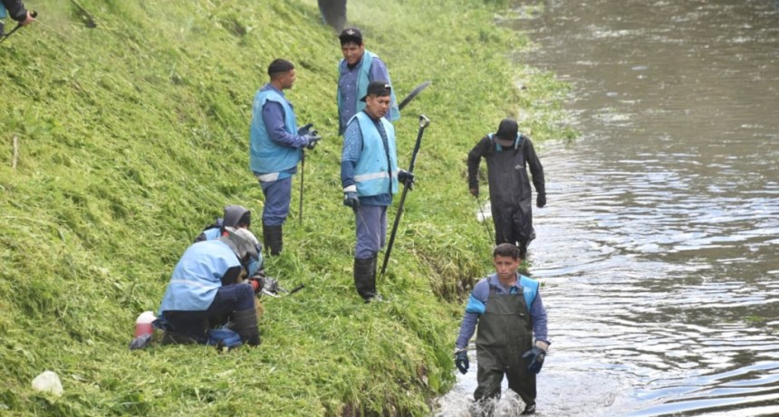 Berisso: El Municipio realiz&oacute; tareas de mantenimiento en el Canal Maldonado