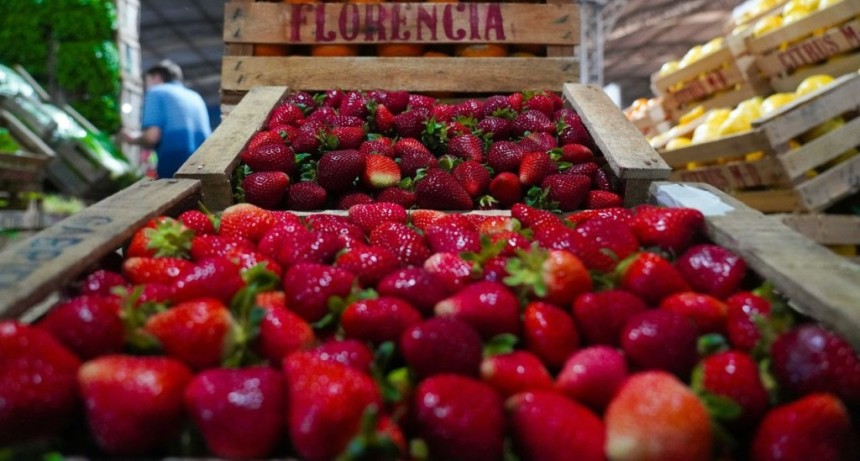 Escobar: El Municipio celebra la segunda edici&oacute;n de la Fiesta de la Frutilla