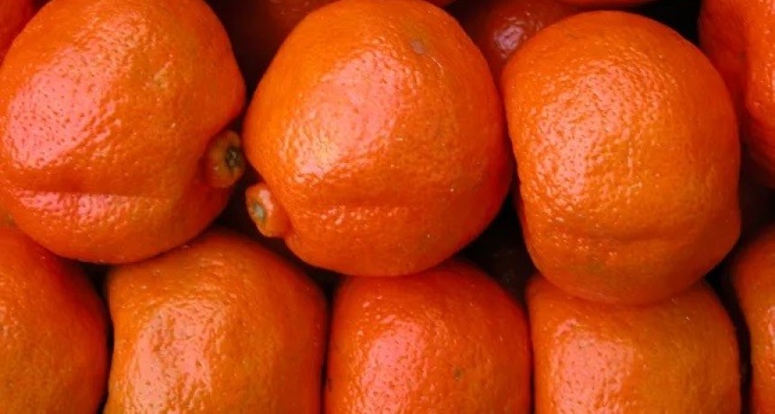 El Gobierno Nacional reclamó ante la OMC la apertura del mercado de Estados Unidos para los cítricos dulces argentinos