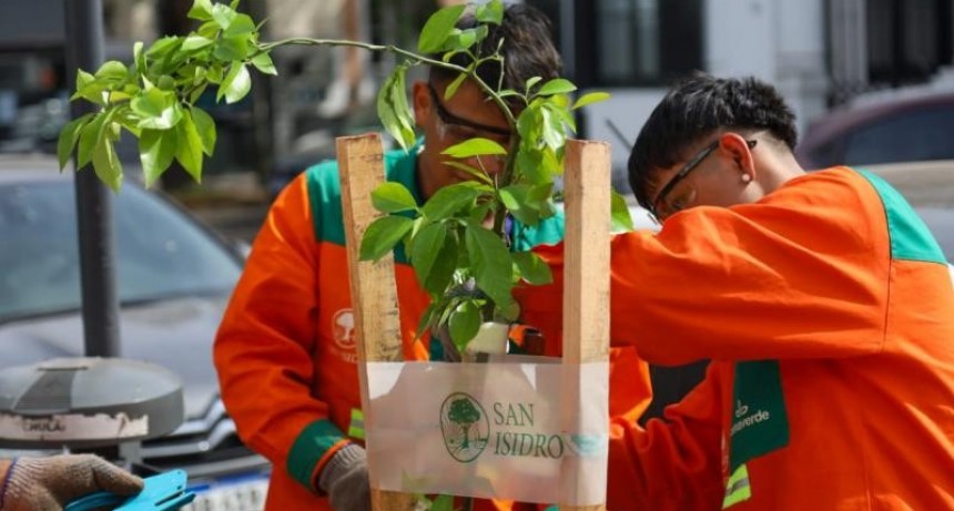 San Isidro: El Plan Integral de Arbolado ya sumó 1500 nuevos árboles y se hicieron 3000 podas