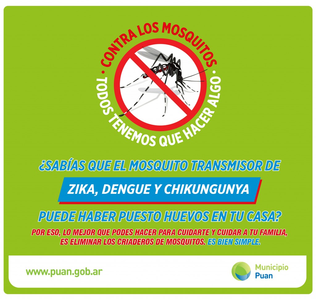 Puan: La importancia de prevenir el contagio del Dengue                        