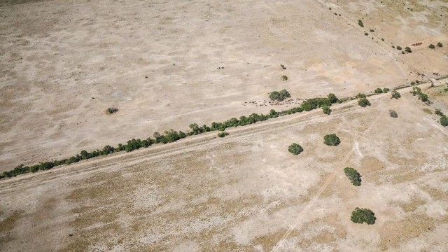 Economía declaró la emergencia agropecuaria para Santa Fe por sequía